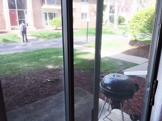View from Living Room - 1225 Island Dr