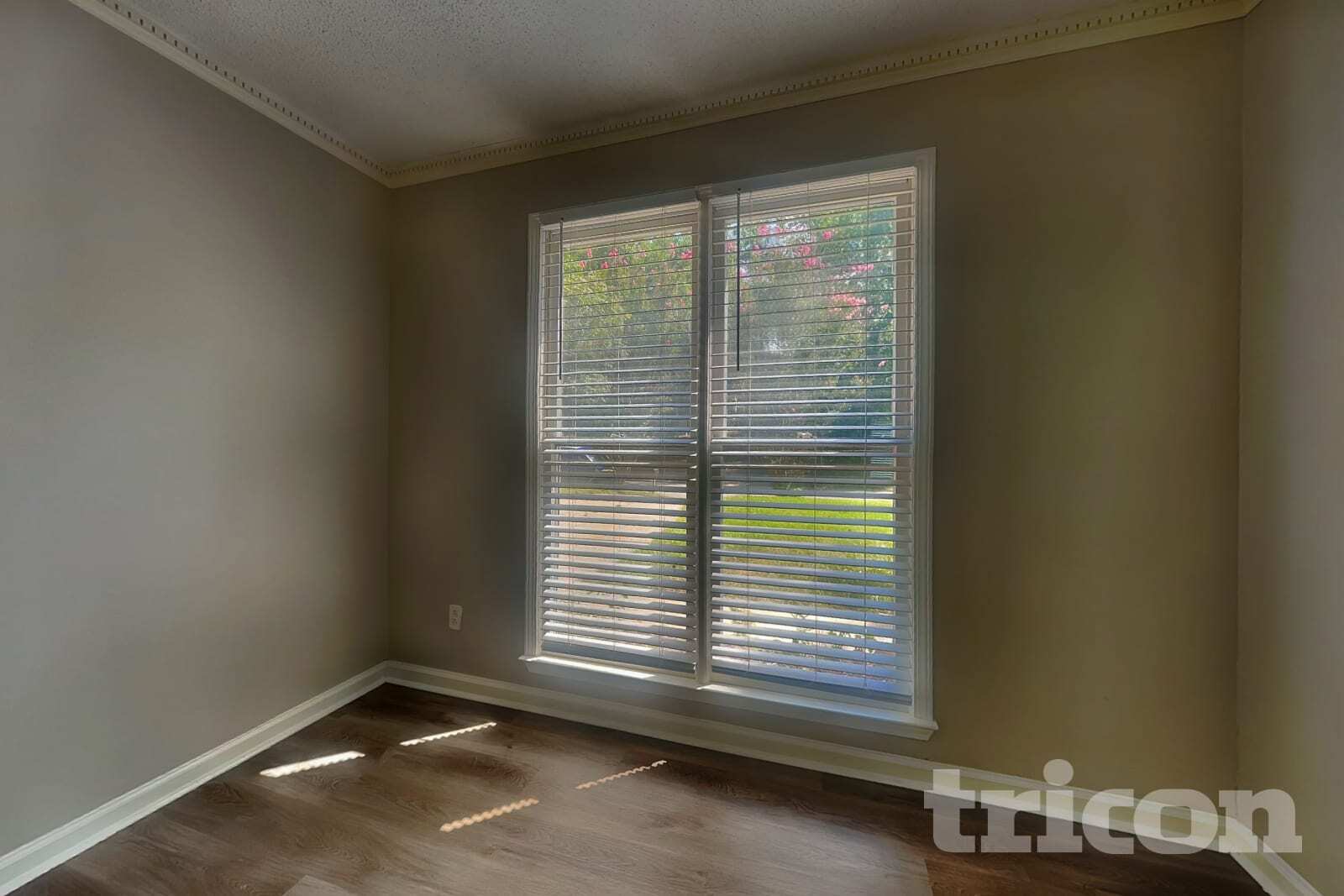 Building Photo - 39 Pine Grove Cir