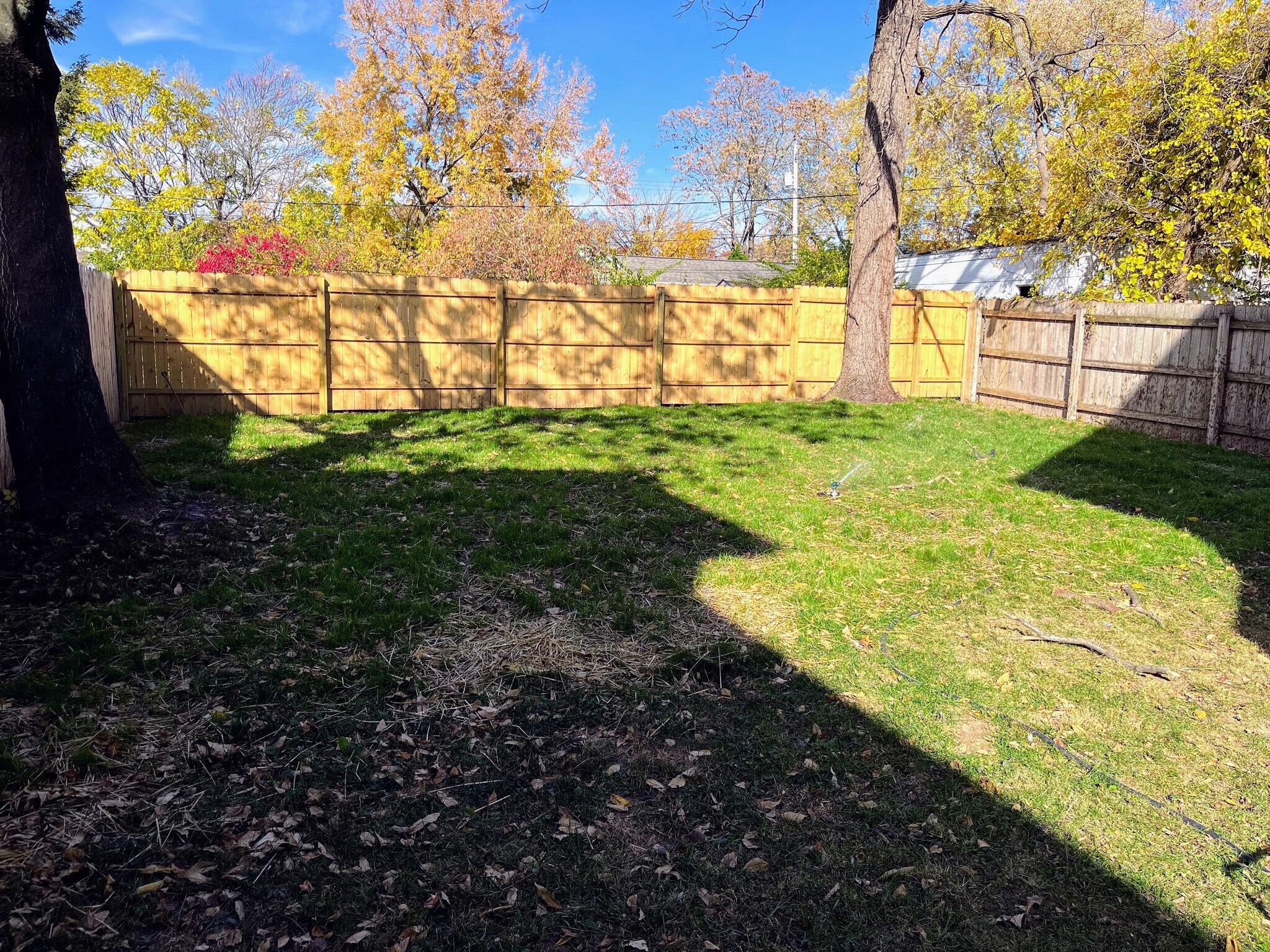 Building Photo - 240 E Duncan St