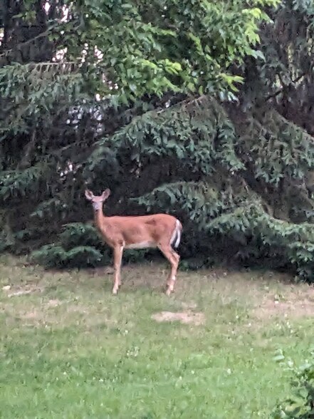 Building Photo - 6257 Smith Rd