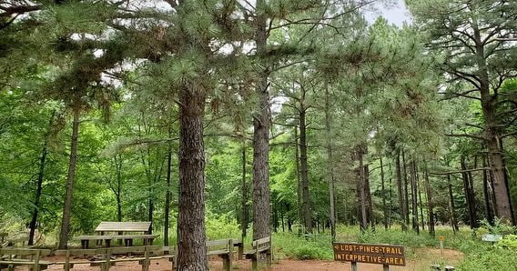 Building Photo - Oak Grove Lane, Aubrey, TX 76227 - 2 BR 2 BA detached house