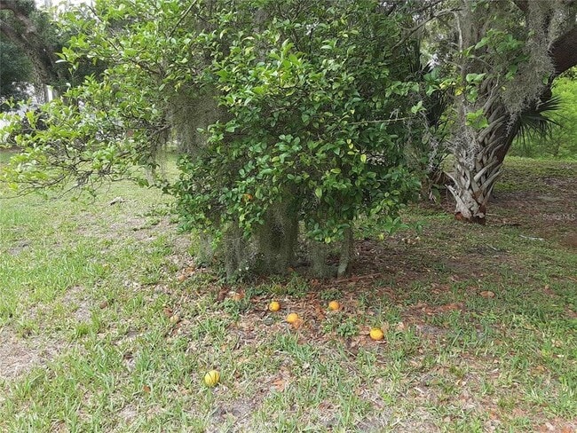 Building Photo - 5619 Colonial Oaks Blvd