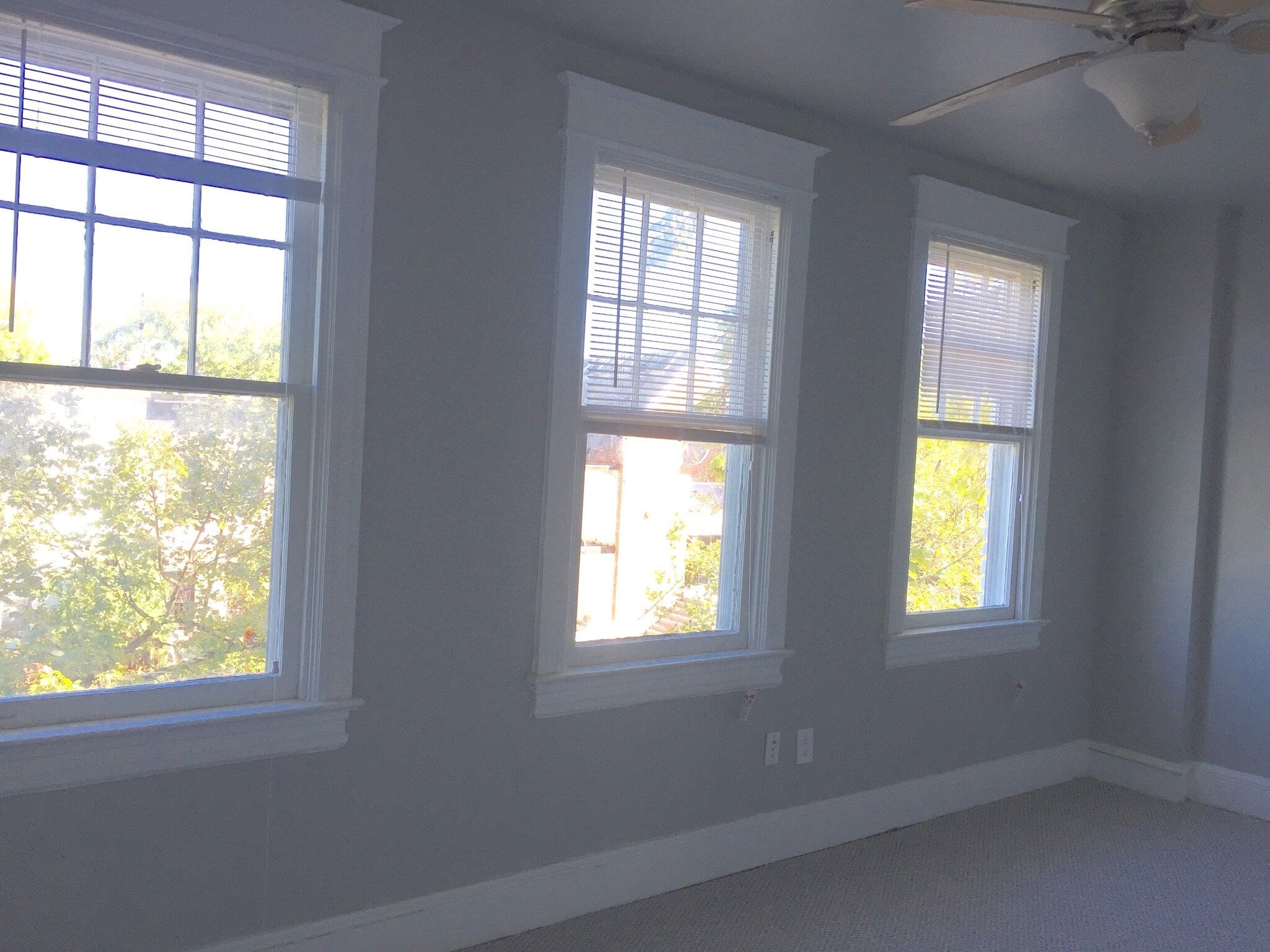 Windows in the front bedroom. - 1110 4th St NE
