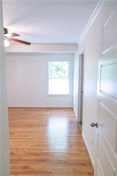 Building Photo - 1547 Delia Dr