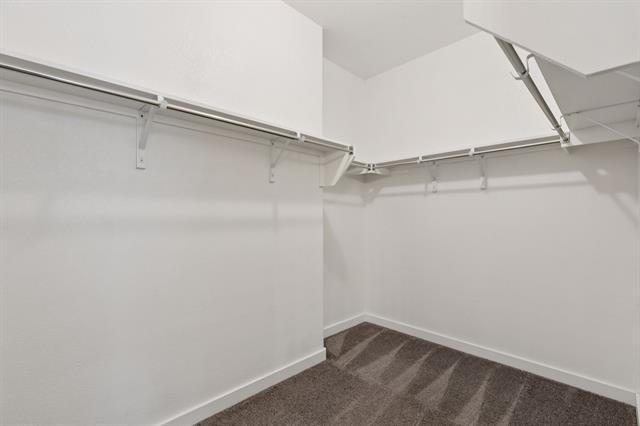 Building Photo - 1733 Lark Ln