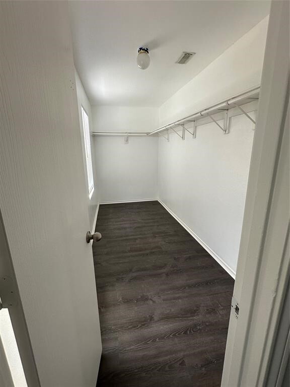 Building Photo - 508 Birch Cluster Ct