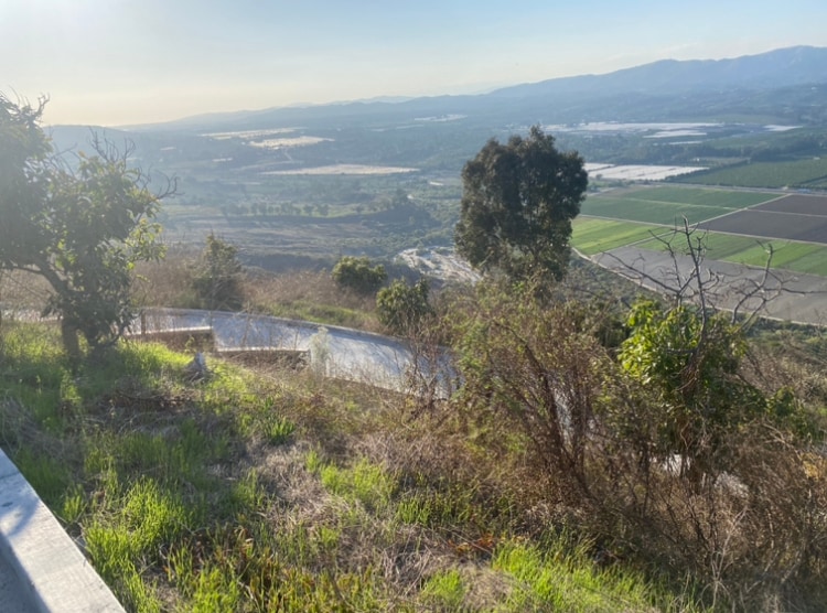 Building Photo - 7979 Worth Way