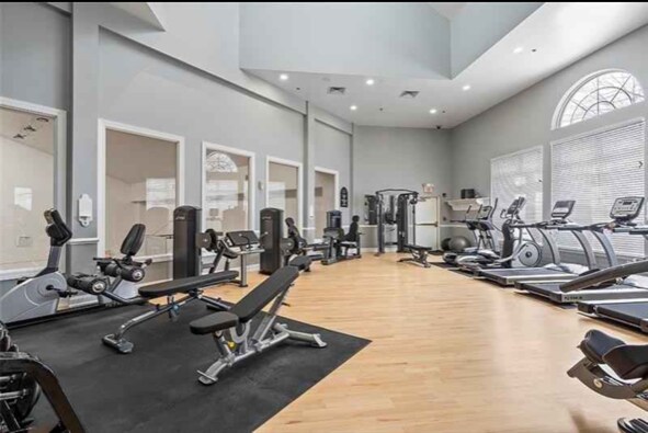 Gym - 207 Adams Pointe Blvd