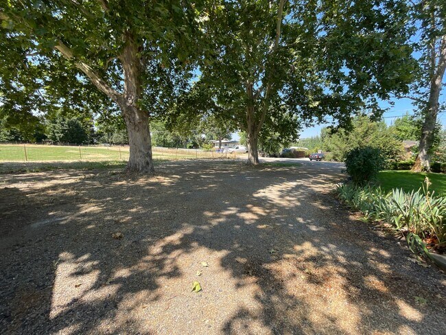 Building Photo - Cozy Mid-Century Modern on a Half Acre!