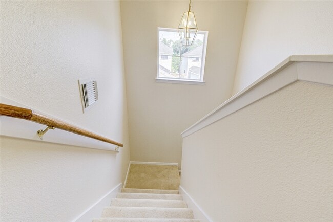 Building Photo - 3930 Mossy Pl Ln