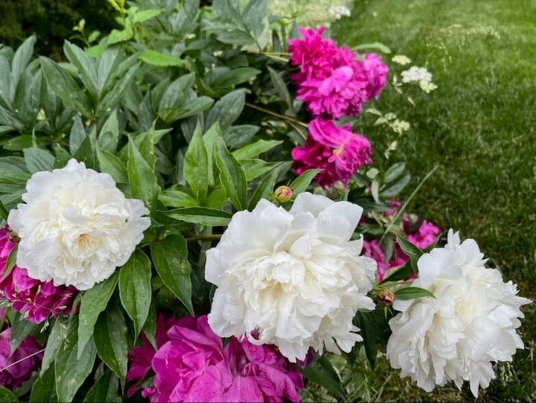 Building Photo - 2934 S Zurich Ct