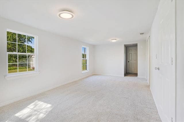 Building Photo - 407 Bonham St