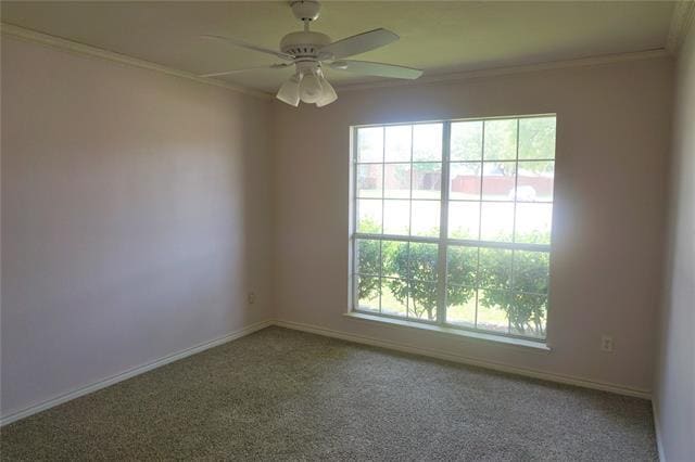 Building Photo - 5513 Stonemoss Dr