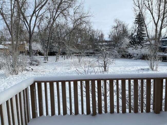 Building Photo - 3 bed 2 bath home on HUGE LOT!