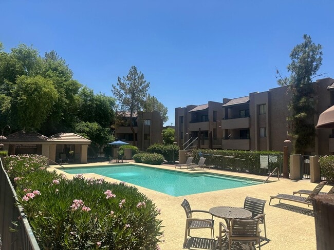 Building Photo - 2 Bed 2 Bath Condo in Old Town Scottsdale