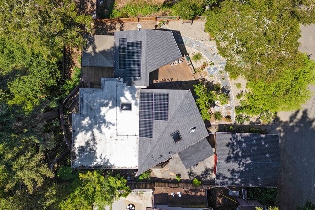 Building Photo - Boulder Creek Sanctuary!