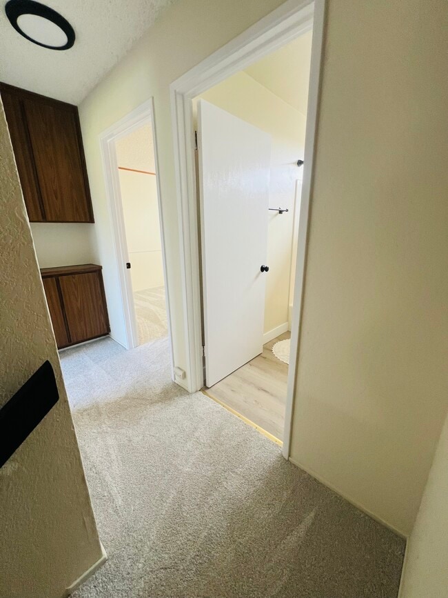 Building Photo - 405 Sailfish Dr