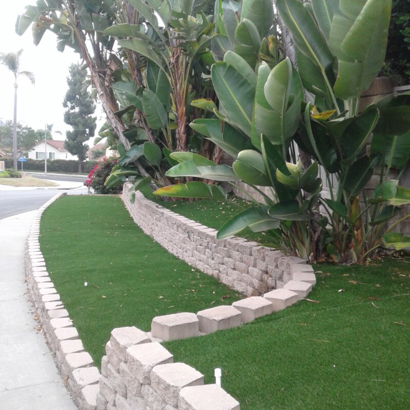 Building Photo - 2696 Magellan Ln