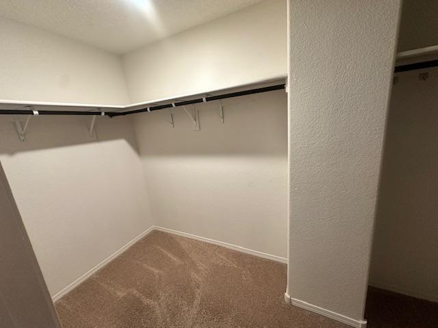 Building Photo - 3 Parador Ct