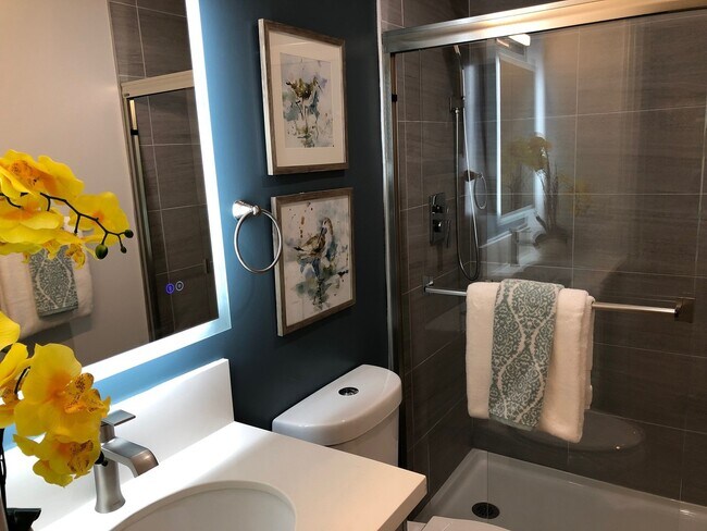 Building Photo - Beautiful Studio Apartment in Belmont Shor...