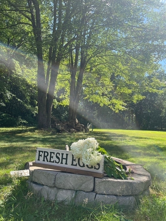 Building Photo - 4 Chestnut St