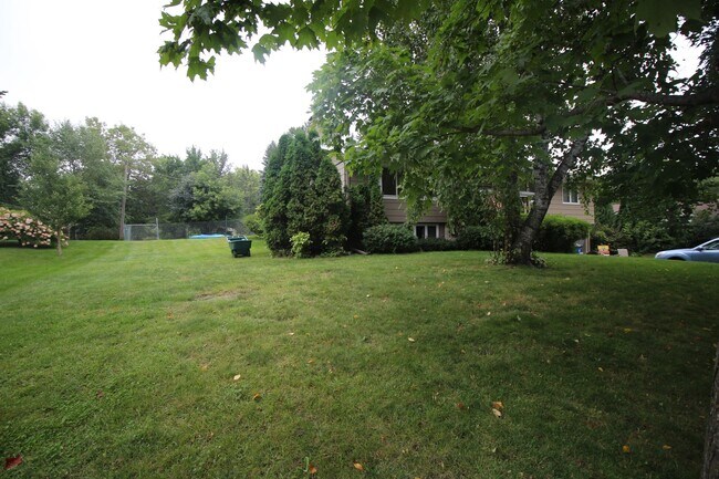 Building Photo - Beautifully updated 'Tonka rental available! 3 beds 2 baths in Royal Hills!