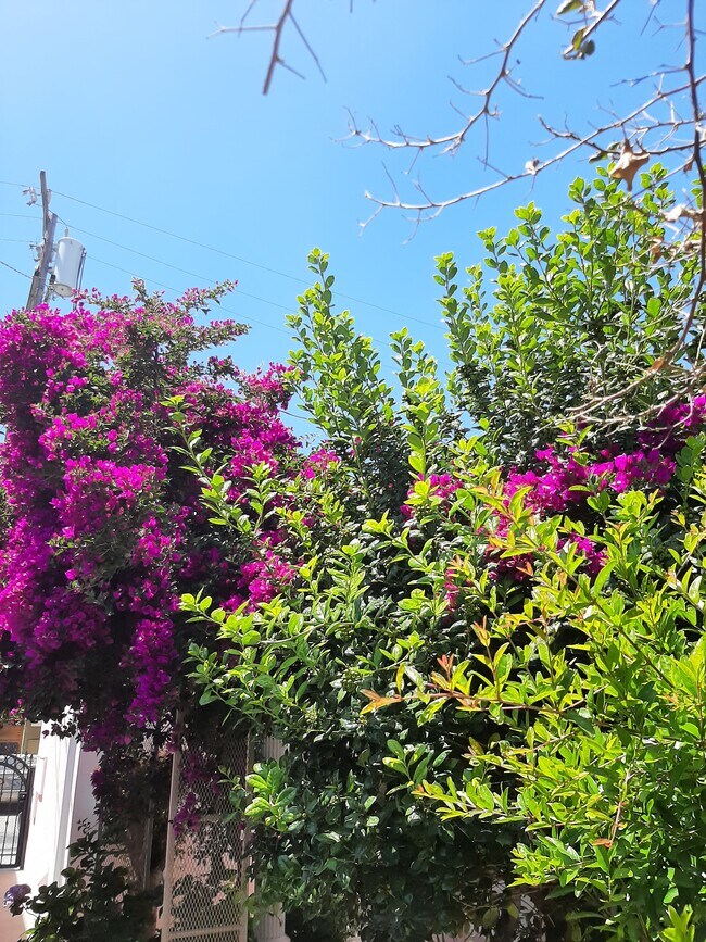 Primary Photo - 1428 26th St