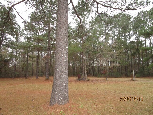 Building Photo - 2158 Ram Bay Rd