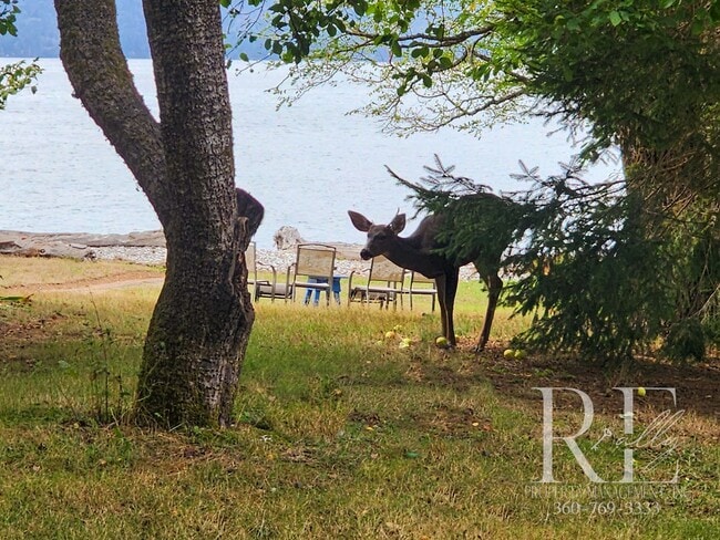 Building Photo - Waterfront Tudor | Private, Vintage Charm with Casita