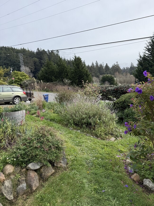 Building Photo - 2112 Buttermilk Ln