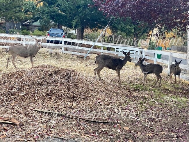 Building Photo - 22101 Crystal Falls Dr