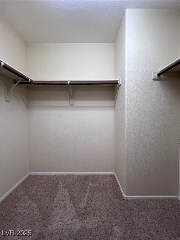Building Photo - 10791 Silver Lace Ln