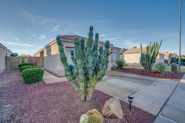 Building Photo - 4385 E Campo Bello Dr