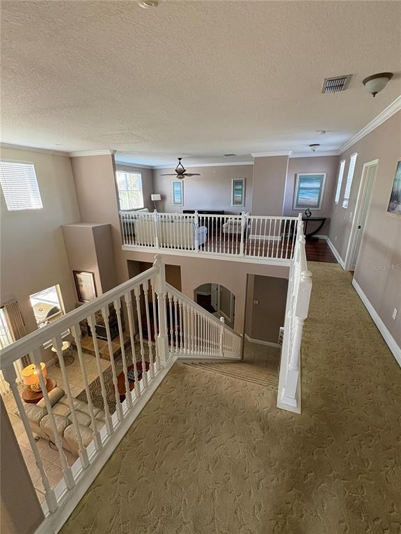 Building Photo - 9718 Pineola Dr