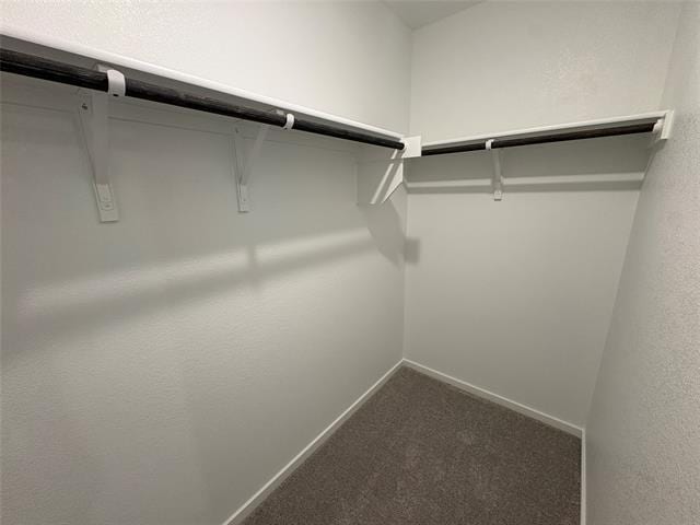 Building Photo - 1633 Limpkin Dr