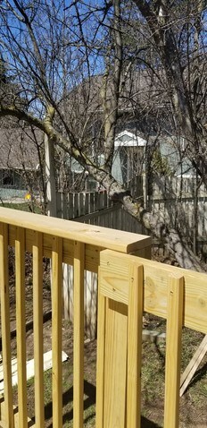 View from deck - 2116 Thaler Ave