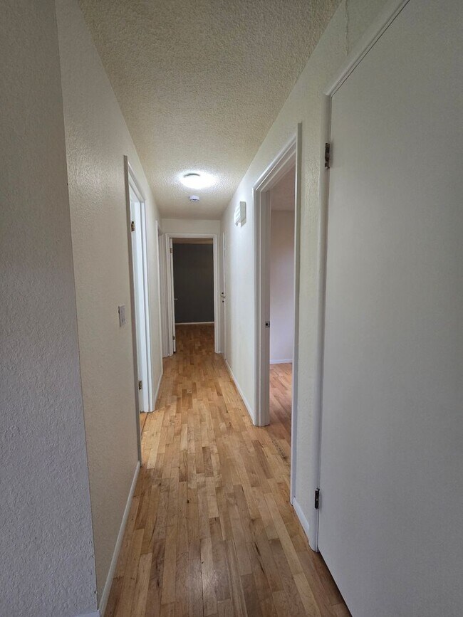 Building Photo - Beautiful 3 bedroom on large lot.