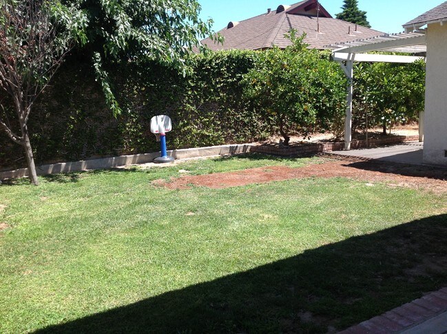 Backyard - 16061 Placid Dr
