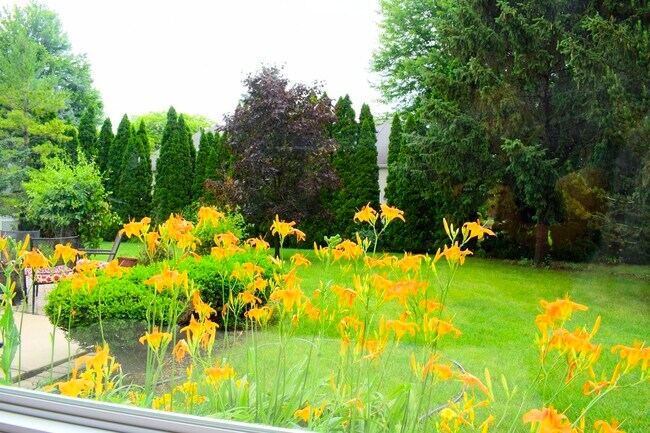 Building Photo - 142 N Dixon Dr