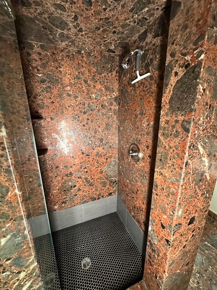 Master bath shower 01 - 10809 Huston St