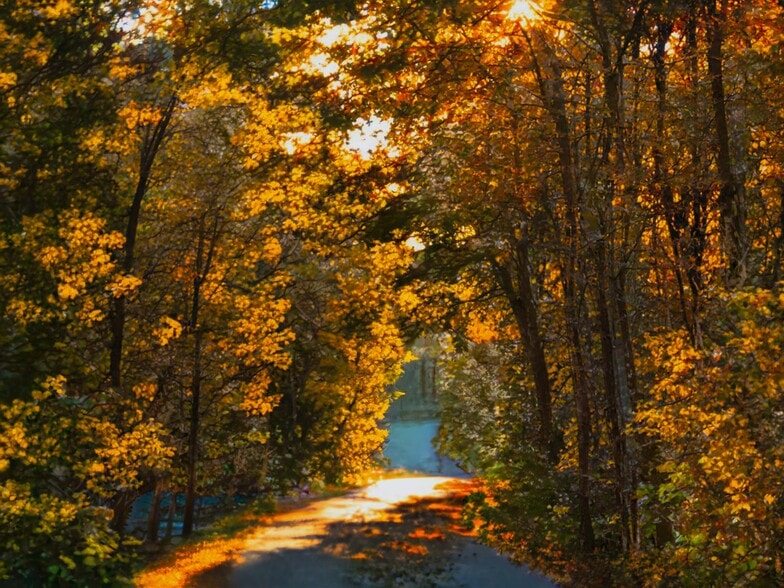 Jennie Lane is a quiet natural area - 103 Jennie Ln