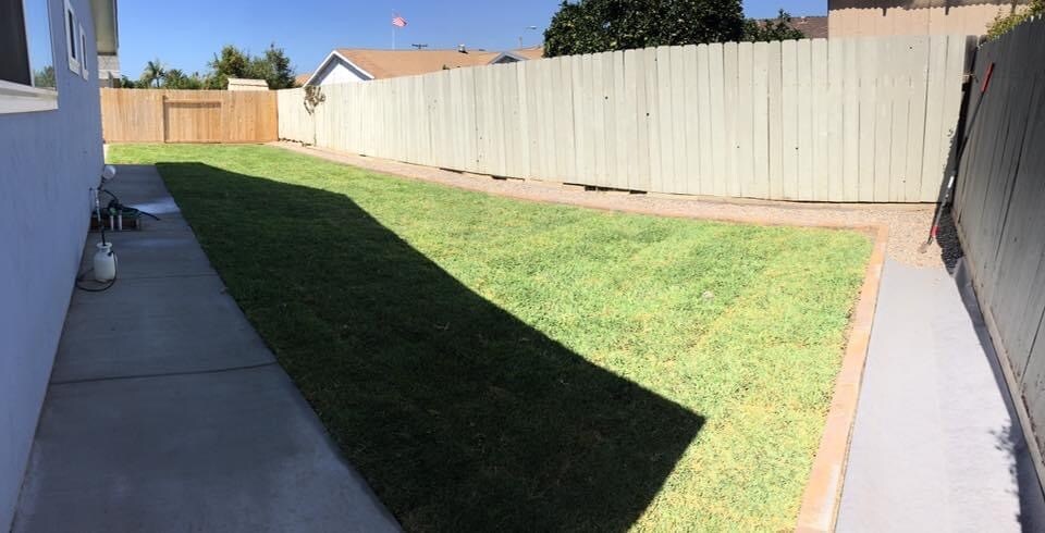 Backyard - 1630 Ionian St