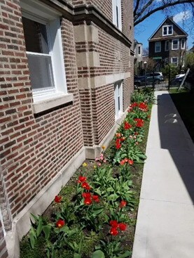 Building Photo - 6132 N Paulina St