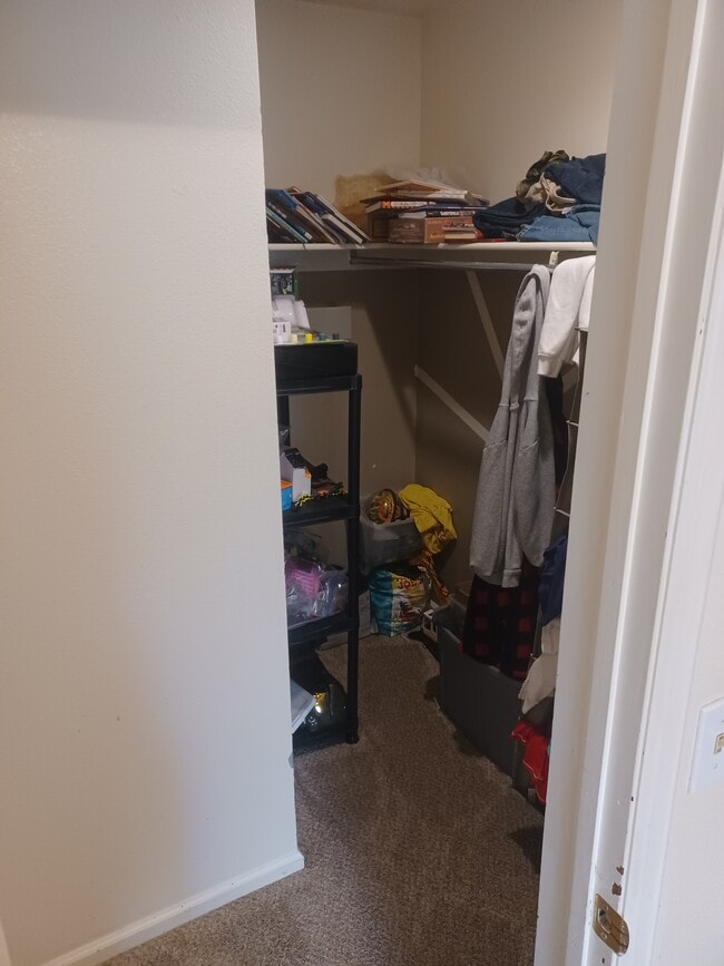 Building Photo - 3000 Regatta Ln