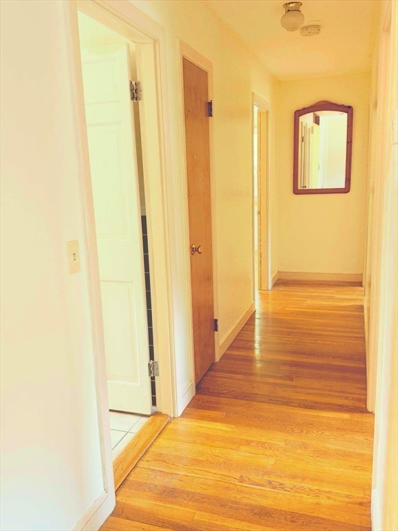 Building Photo - 91 Whitcomb Dr