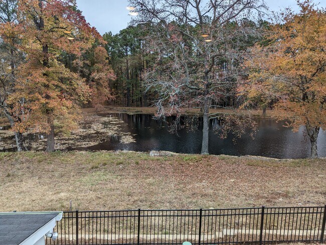 Building Photo - 1838 Porch Swing Way