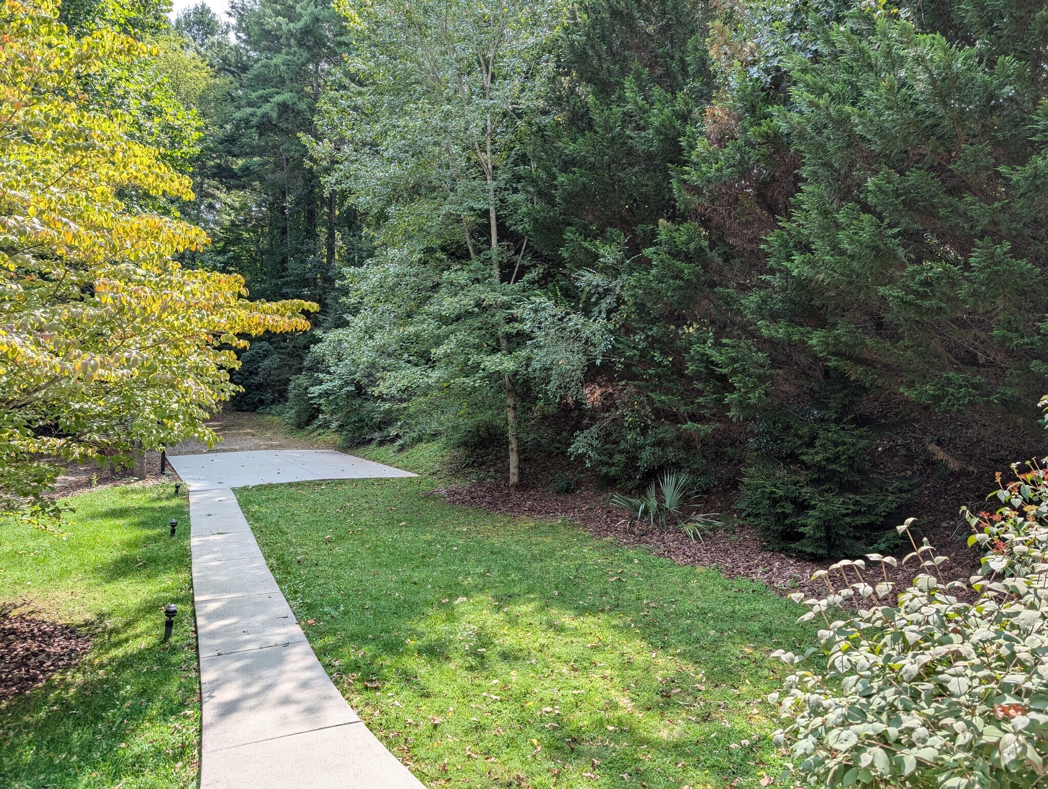 Front Yard View from House - 14 Weaver Rd