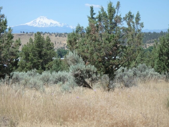 Building Photo - Executive Suite/Vacation/Short Term Rental 30-90 days