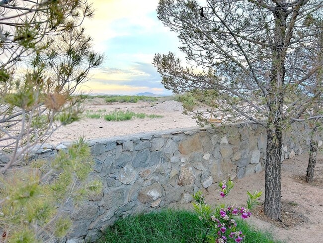 Building Photo - East El Paso 3 bed Refrig A/C with Gorgeous Yard!