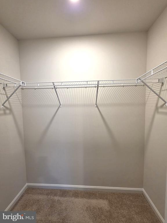 Building Photo - 426 Creekbed Cir